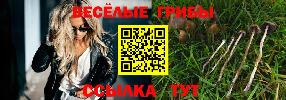Галлюциногенные грибы Psilocybine cubensis  Вход с VPN  как найти   Мурманск 